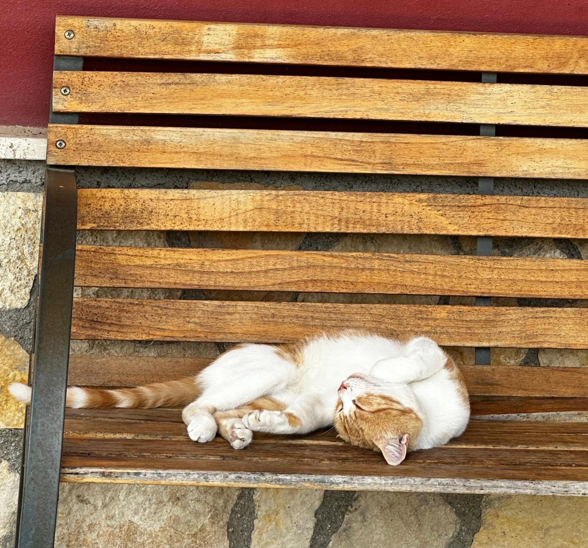 Agriturismo Serra Moneta Santo Stefano Quisquina エクステリア 写真